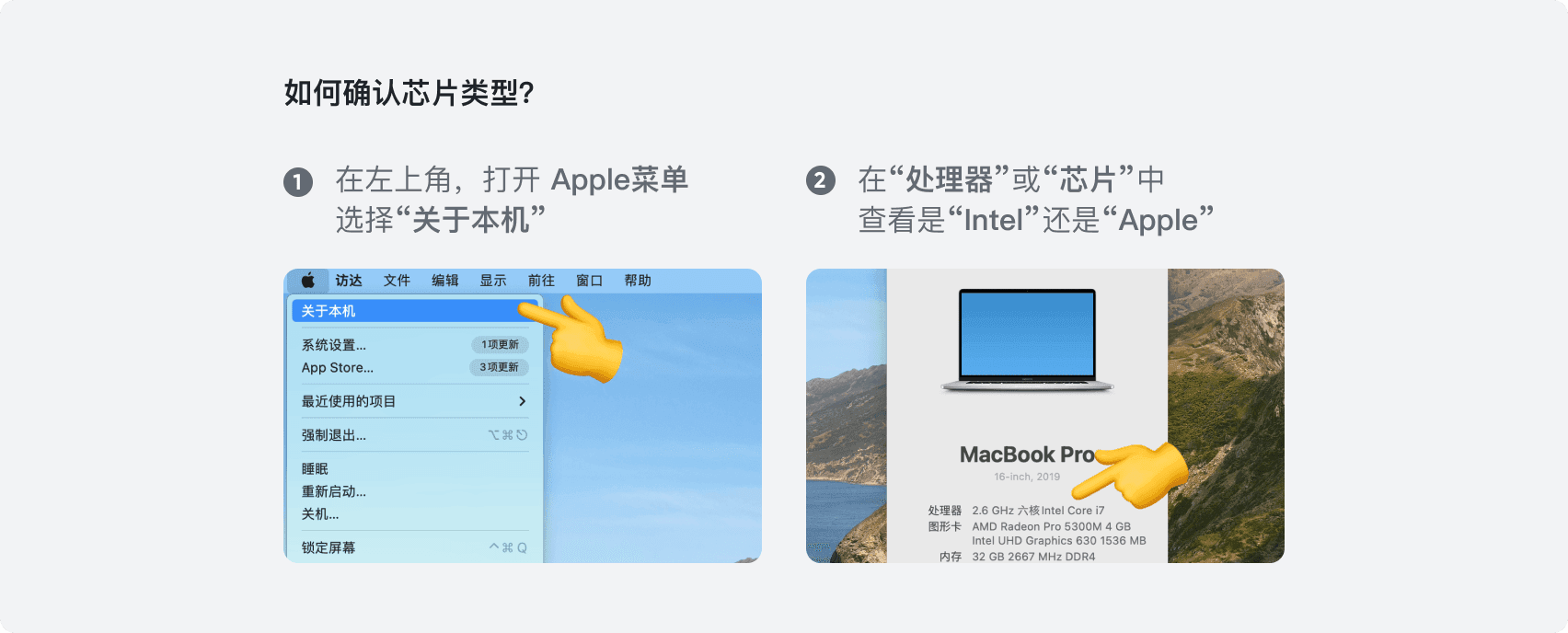 Mac 版本下载选择截图